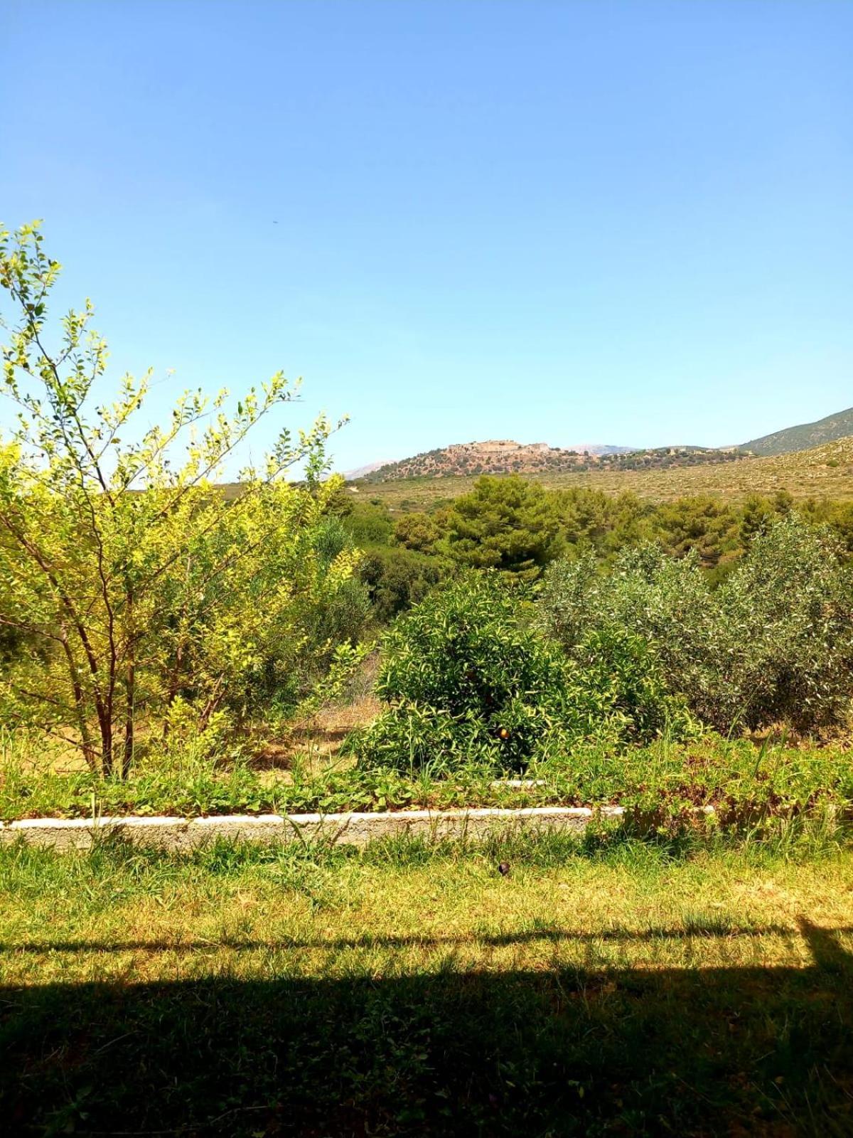 4T Apartments Argostoli  Exterior photo